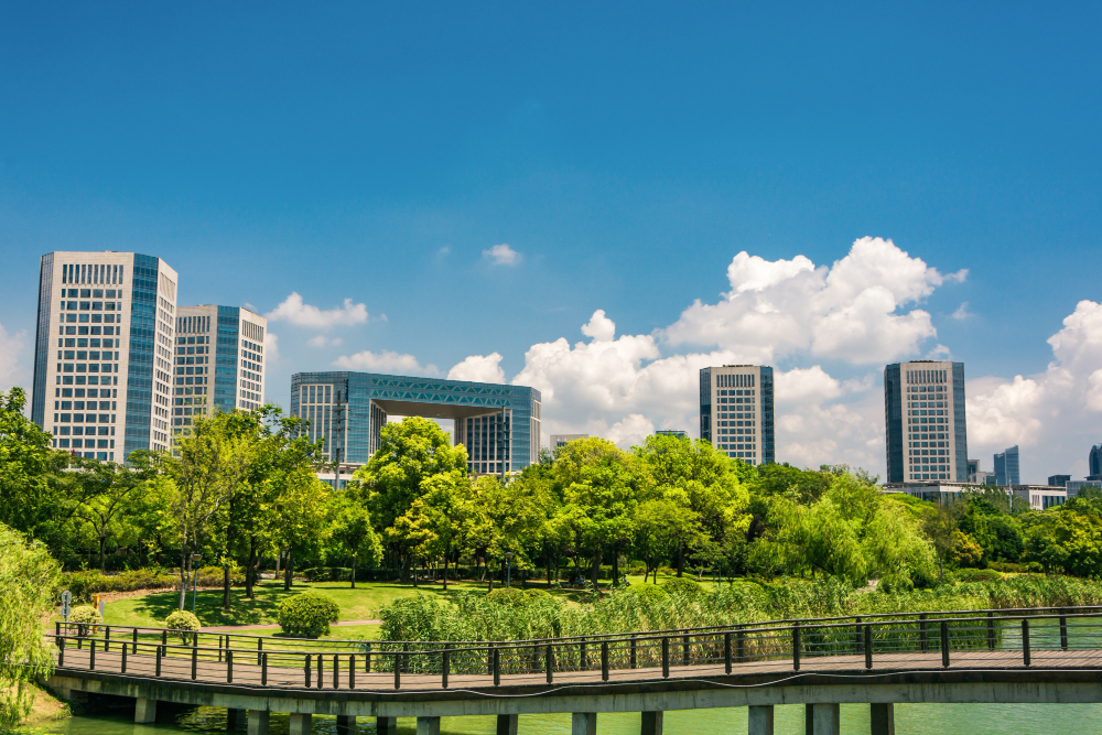 Optimization of green infrastructure placement within the city space
